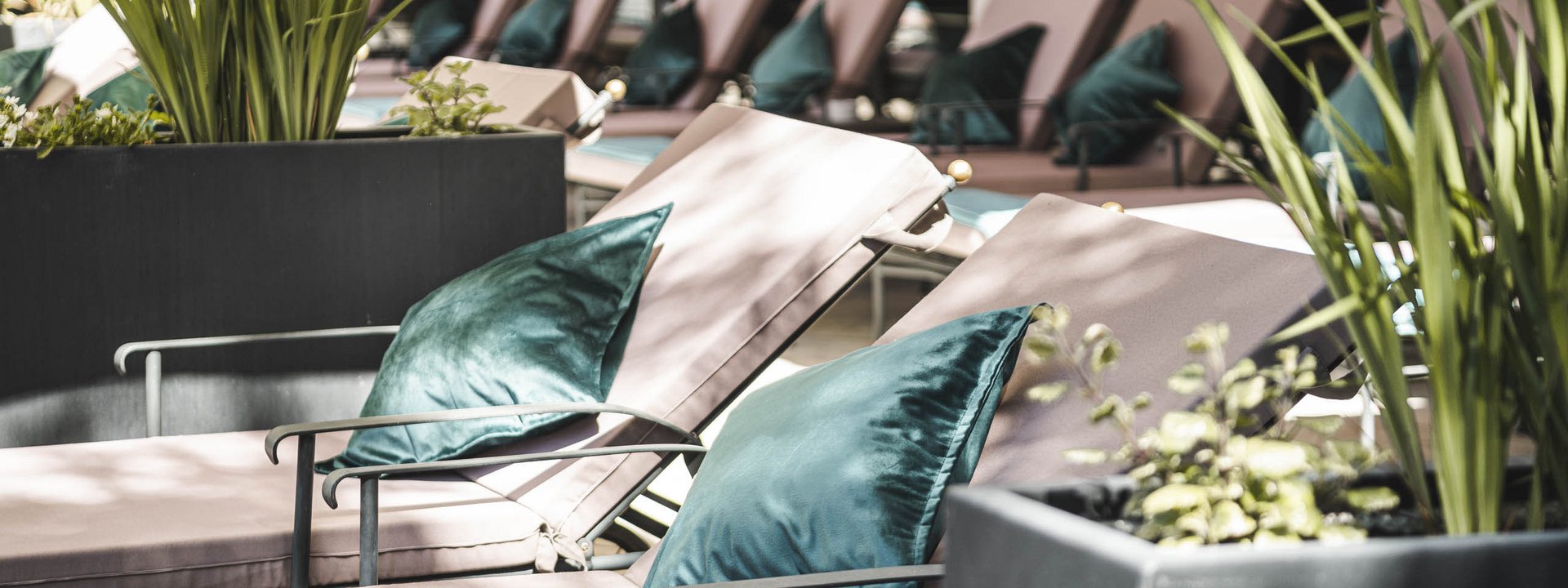 Liegen mit grünen Kissen in einem hellen, modernen Innenbereich mit Pflanzen