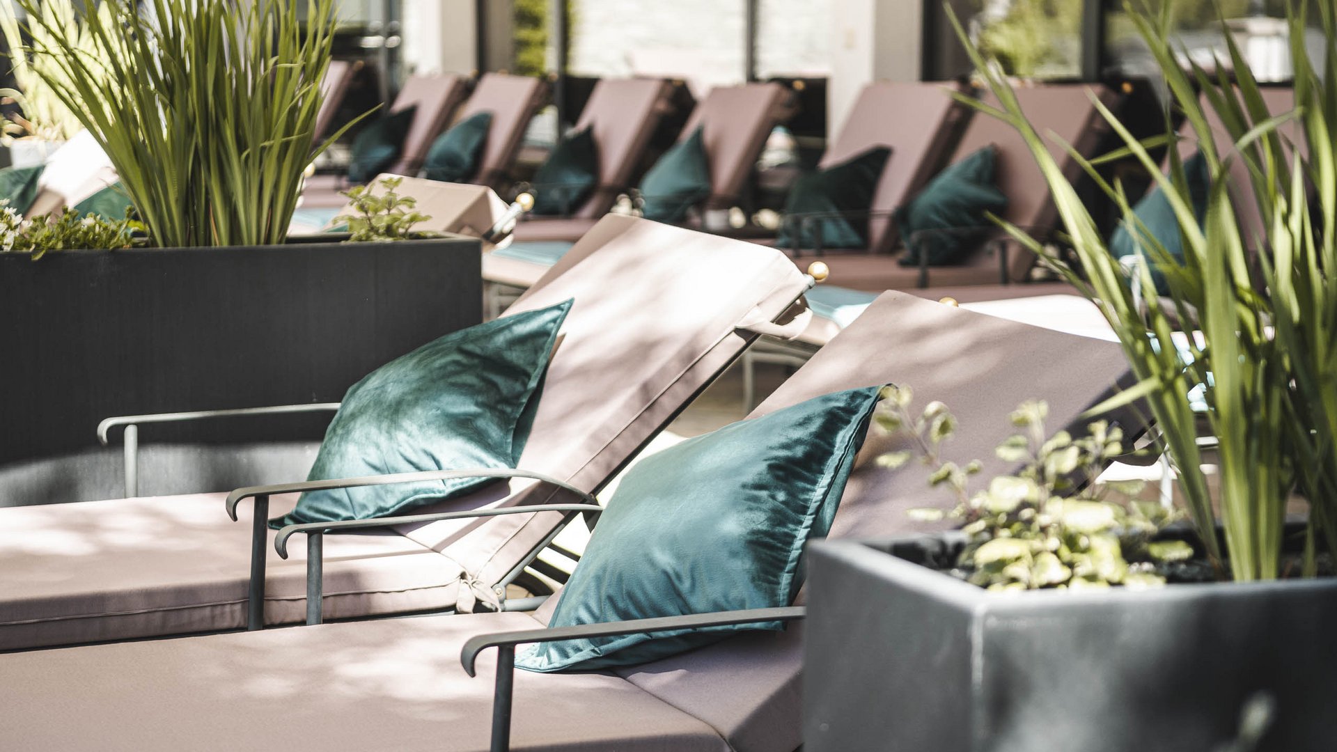 Lounge chairs with green pillows in a bright, modern indoor space with plants