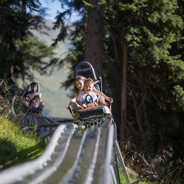 Neuigkeiten aus dem Cervosa Kinder fahren auf Sommerrodelbahn durch bewaldete Berglandschaft