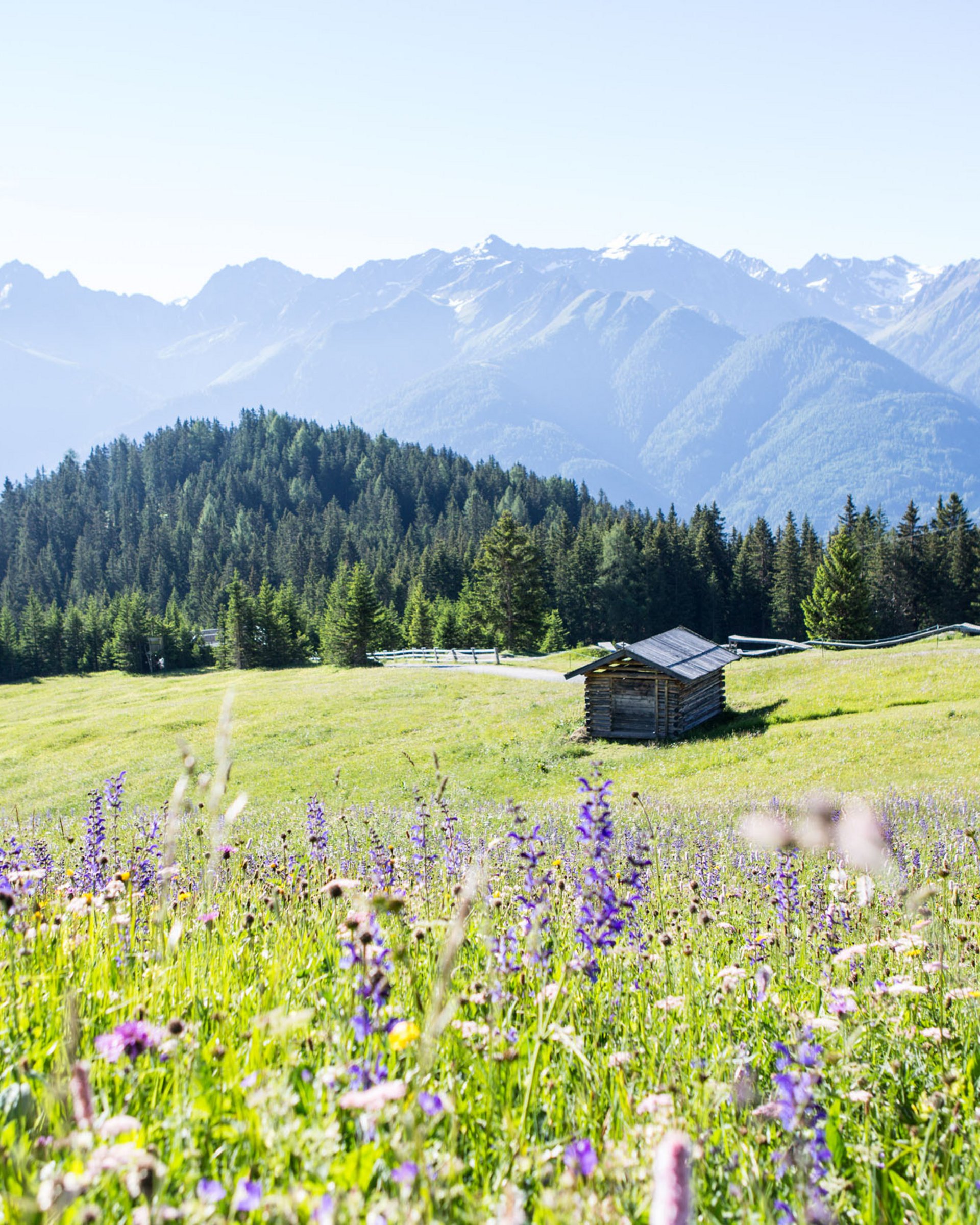 Ihr Begleiter in Serfaus: die Sommer Card